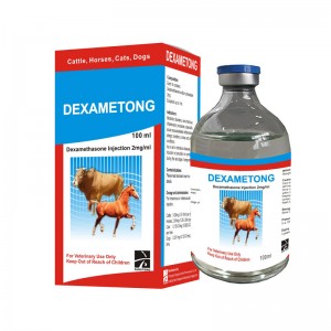 DEXAMETONG Dexamethasone Injection 0.2%