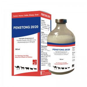 PENSTONG 20/20 Penstrep ( Penicillin G Procaine+ Dihydrostreptomycin Suspention)  20 20