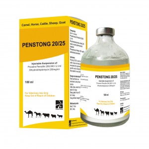 PENSTONG 20/25 Penstrep (Procaine Penicillin + Dihydrostreptomycin Suspention)  20 25