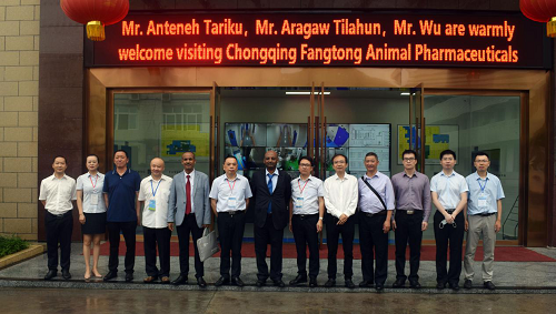 Warmly Welcome Mr. Anteneh Tariku, the Acting Consul General of Consulate General of Ethiopia in Chongqing and his team to Visit Fangtong.