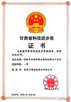 Congratulations! Fangtong wins the “First Prize of Gansu Provincial Science and Technology Progress Award”