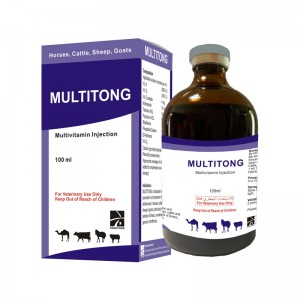 MULTITONG Multivitamin Injection