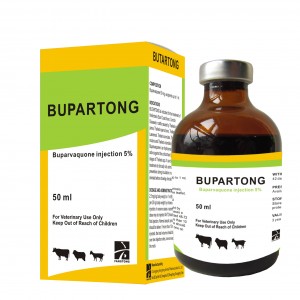 BUPARTONG  Buparvaquone injection 5%