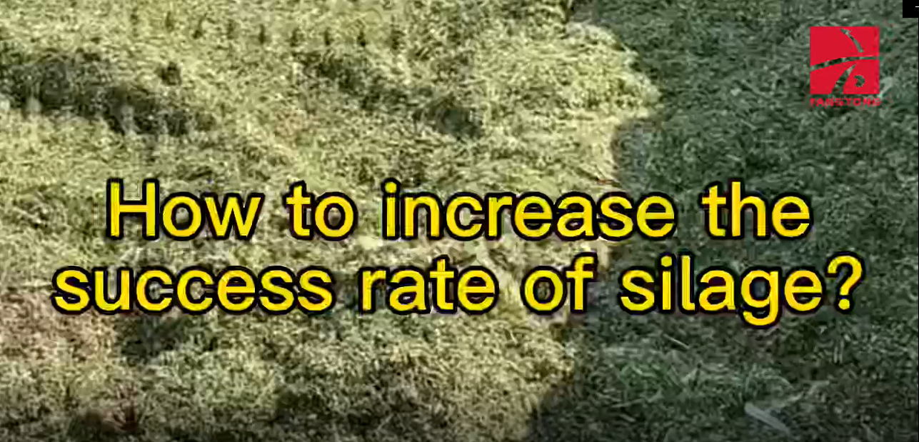 How to increase the success rate of silage