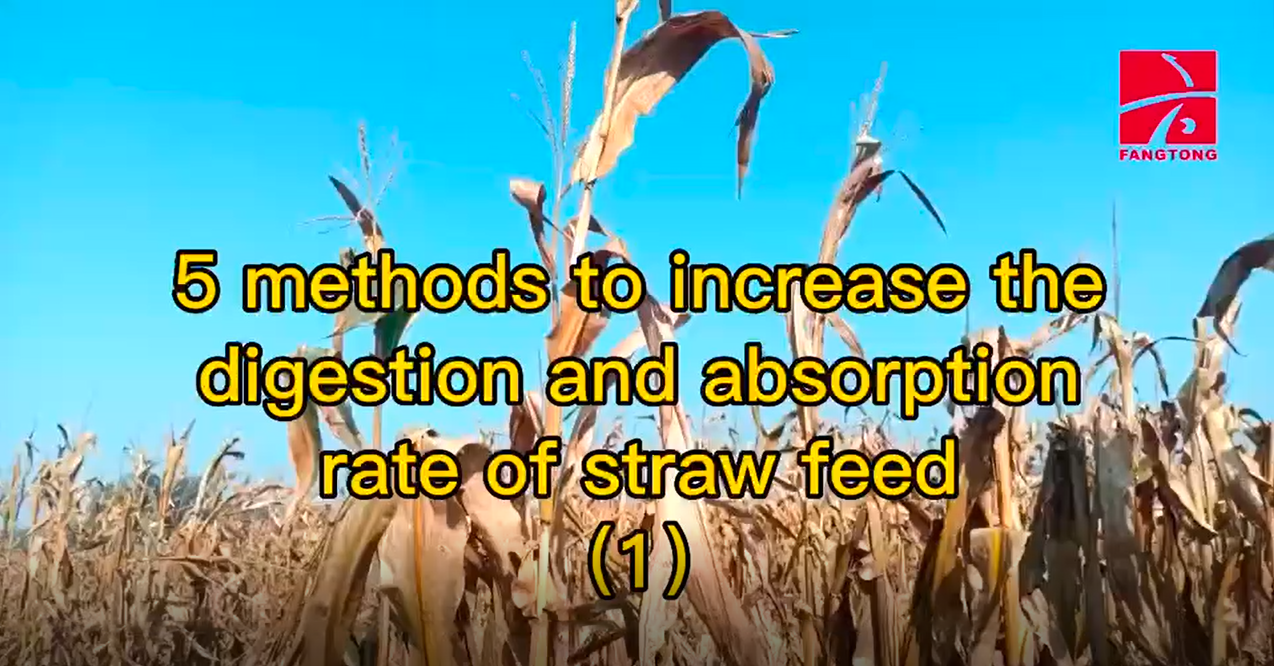 5 Methods to increase the digestion and absorption rate of straw feed (1)