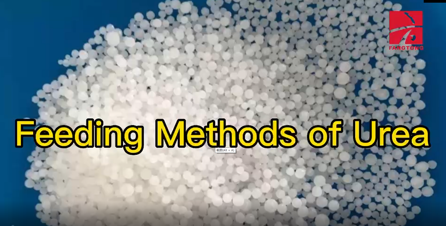 Feeding Methods of Urea